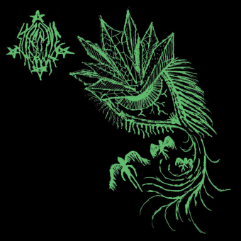 STARCAVE NEBULA / TRHA Starcave Nebula - Trha Split LP BLACK  [VINYL 12"]